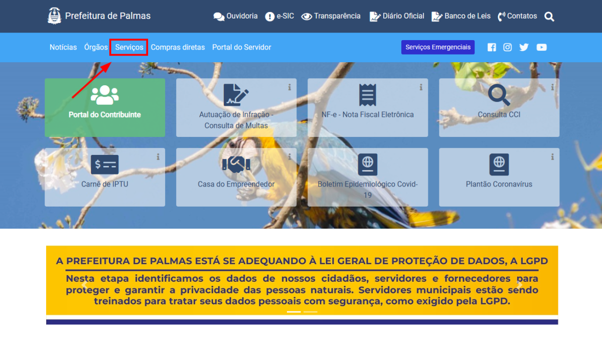site da Prefeitura de Palmas